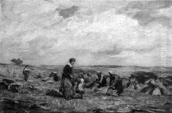 Kornernte Auf Rugen - view 1