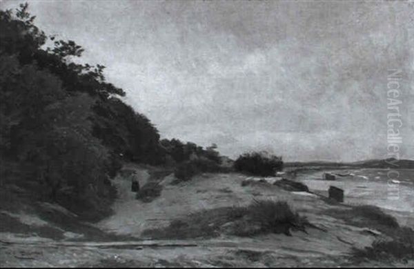 Dunenlandschaft An Der Ostseekuste - view 1