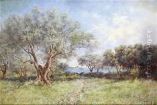 Chemin Fleuri D'antibes - view 1