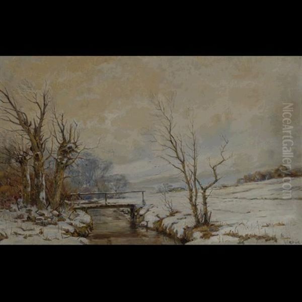 Danish Winter Landscape - view 1