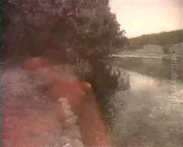 Trees Along A River - view 1