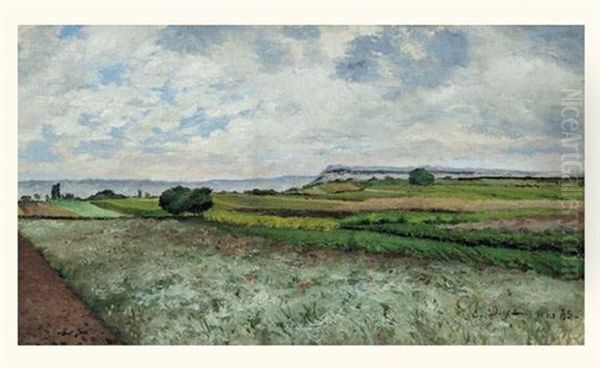 Paysage - view 1