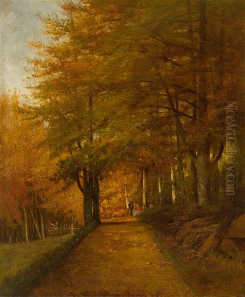 Family Walk Along The Forest Path - view 1