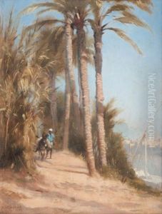 Palmiers Du Caire
