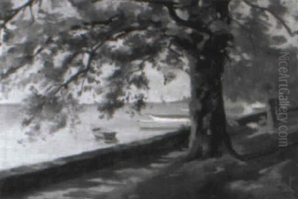 Parklandschaft Am Seeufer - view 1