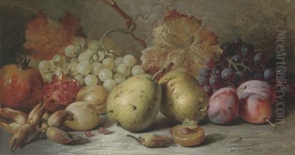 Pears, Plums, Grapes, Pomegranites And Hazelnuts - view 1