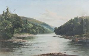 'meeting Of The Waters', Vale Of Avoca by Patrick Vincent Duffy