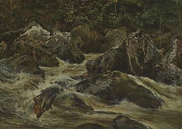 River - view 1