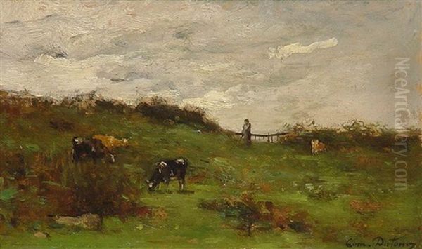 Weidelandschaft - view 1