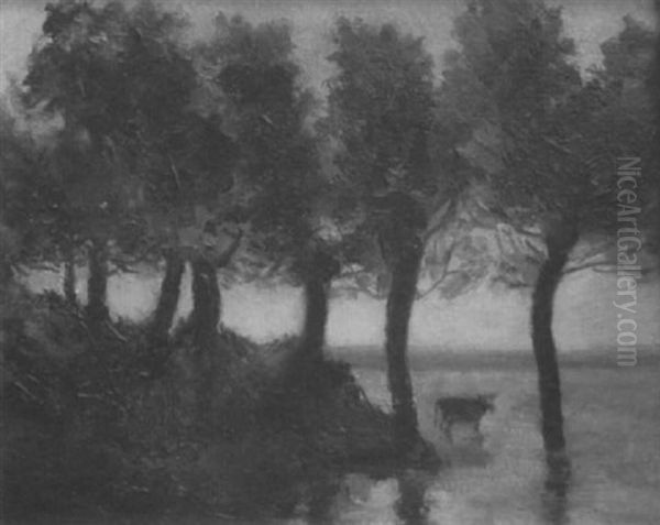 Kuh Am Waldrand Im Wasser - view 1