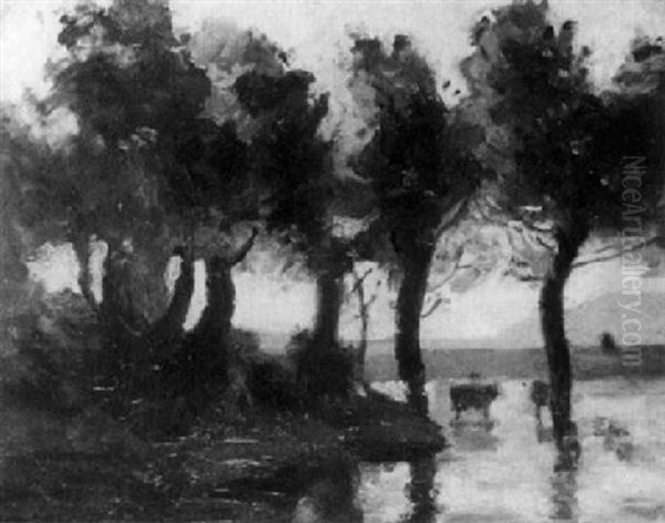 Kuhe Im Seichten Wasser Eines Waldweihers - view 1