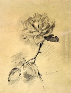 Zwei Bleistiftzeichnungen: Rosenstudien by Leo Arndt