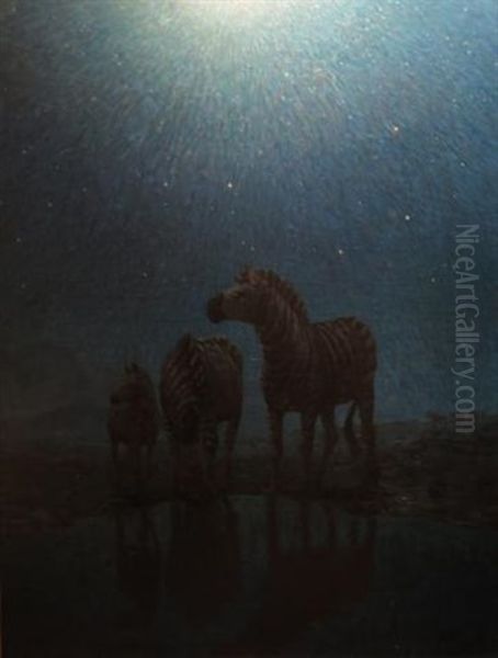 Zebras Grazing In The Moonlight - view 1