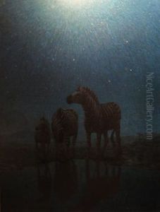 Zebras Grazing In The Moonlight