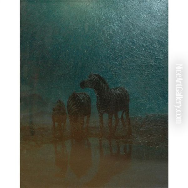 Zebras Grazing-moonlight - view 1