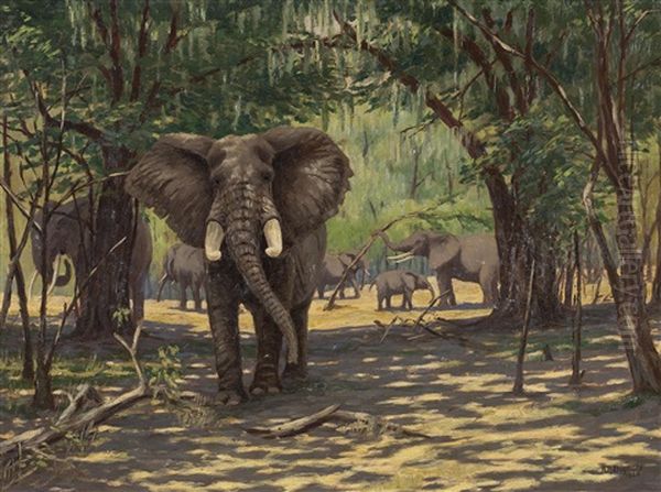 Elephants In Kenya - view 1