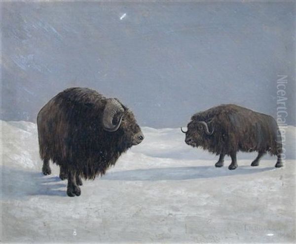 Bison In A Snowy Landscape - view 1