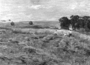 In The Hay Fields