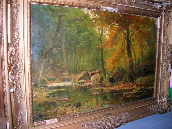 Autumnwoodland - view 1