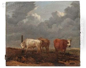 Cattle Cattle