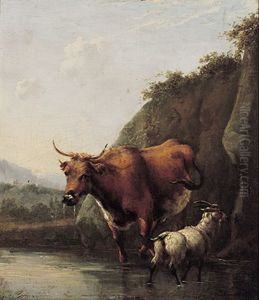 Tiere Am Wasser Tiere Am Wasser