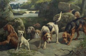 Otterhounds On A Scent by Alfred Duke