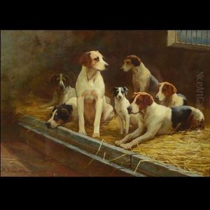 Foxhound Harriers