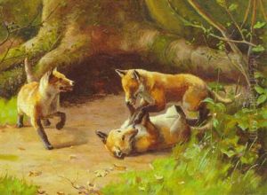 Fox Cubs Playing In A Wooded Glade