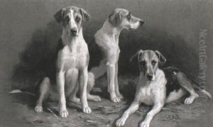 A Study Of Three Hounds by Alfred Duke