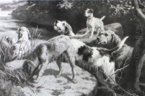 Otter Hounds
