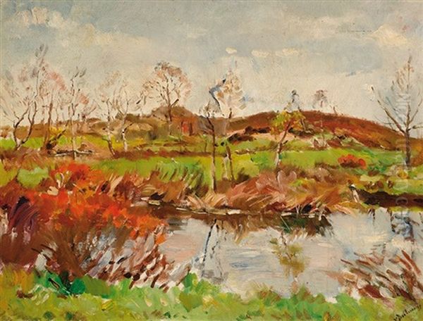Landscape In Drente - view 1