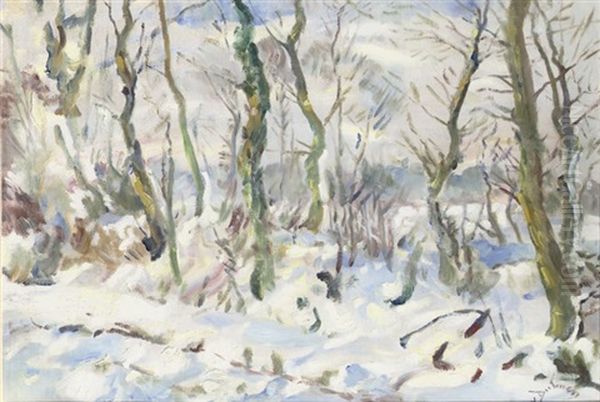 A Snowy Winter Landscape - view 1