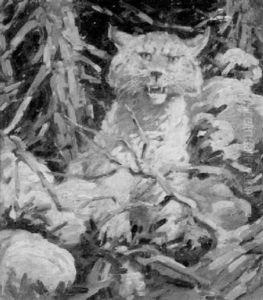 Bobcat by H. Boylston Dummer