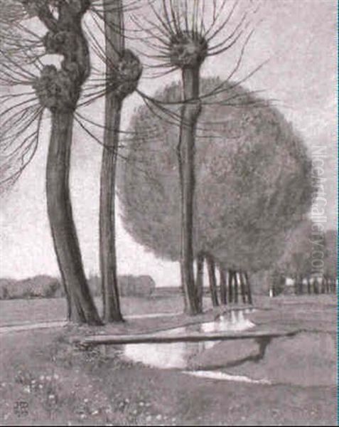 Weiden Am Bache - view 1