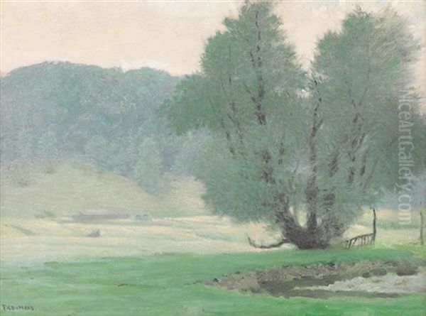 Willows - view 1