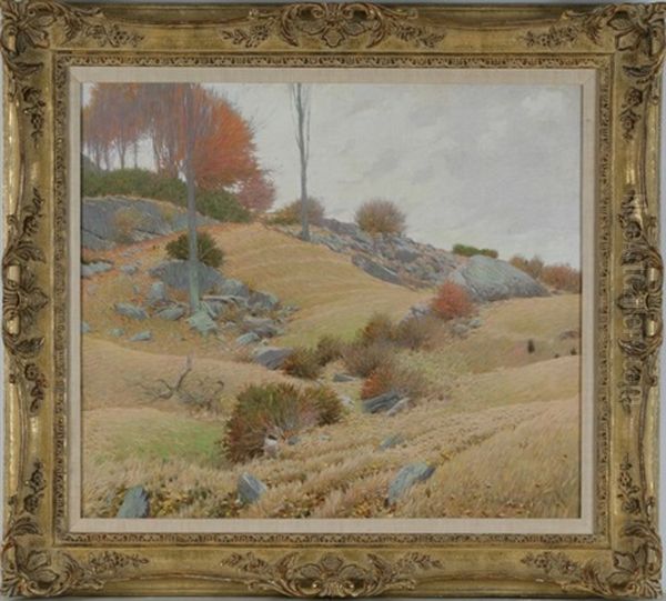 Grassy Hill, The Dumond's Farm - view 1