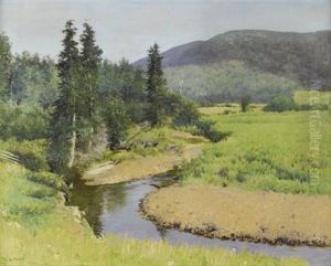 The Brook (a Tributary Of The Margaree River, Nova Scotia)