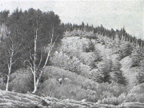 Green Hills - view 1