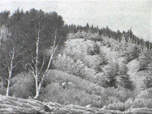Green Hills by Frank Vincent Dumond
