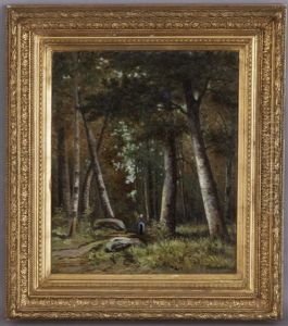 Sous-bois