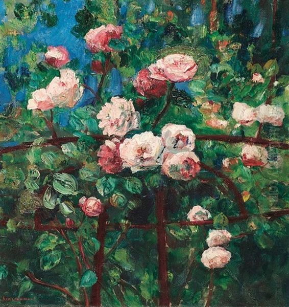 Les Roses - view 1