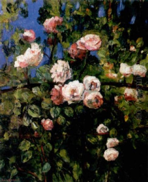 Roses - view 1