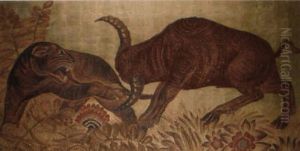 Combat De Buffle Et Panthere