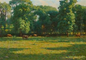 Pasture And Woodland