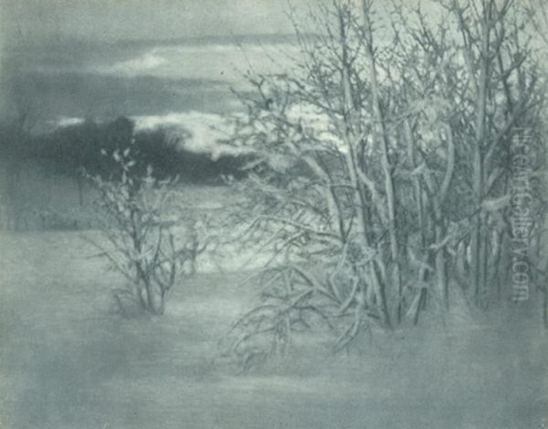 Winter Landscape - view 1