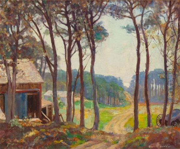 Old Shed At Forest Clearing - view 1