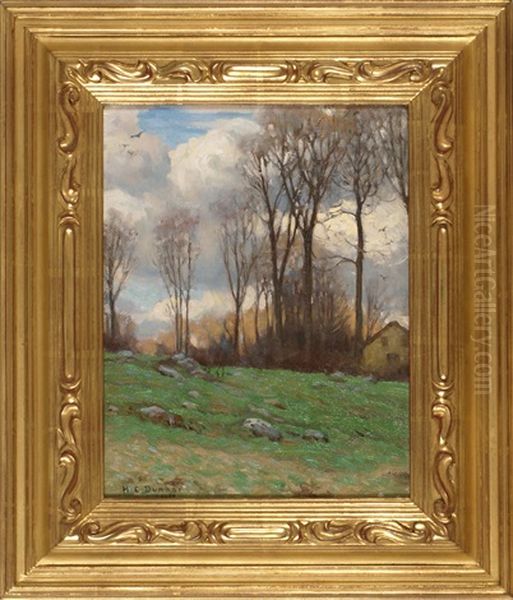 A Summer Meadow - view 1
