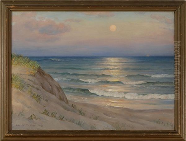 Coastal Dune Scene At Sunrise - view 1
