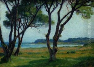 Trees Near The Shore by Harold C. Dunbar