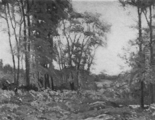 Afterglow, October - view 1